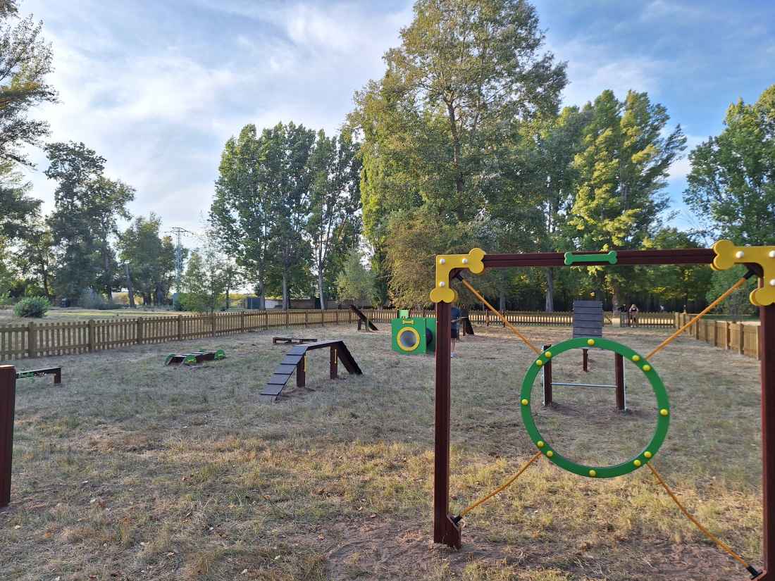 Almazán estrena nuevo servicio municipal con circuito canino “Agility” 
