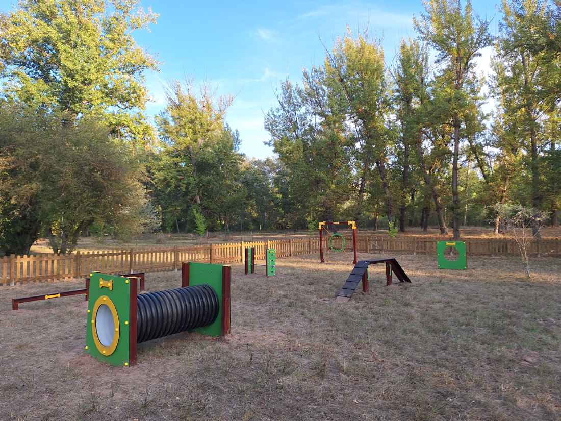 Almazán estrena nuevo servicio municipal con circuito canino “Agility” 