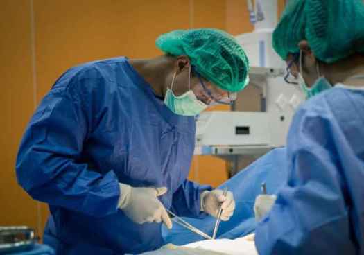 España, líder en trasplante renal y pulmonar a nivel mundial