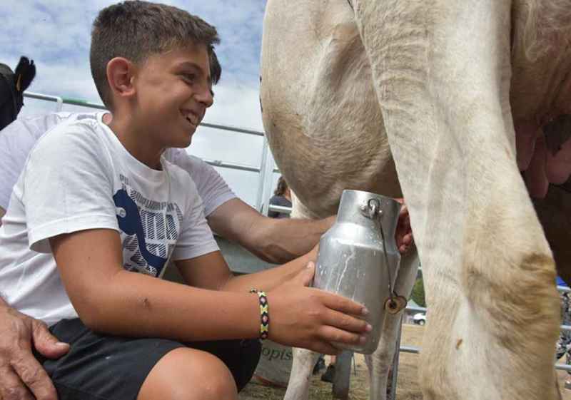 Vinuesa celebra la vigésimo quinta edición de su feria ganadera
