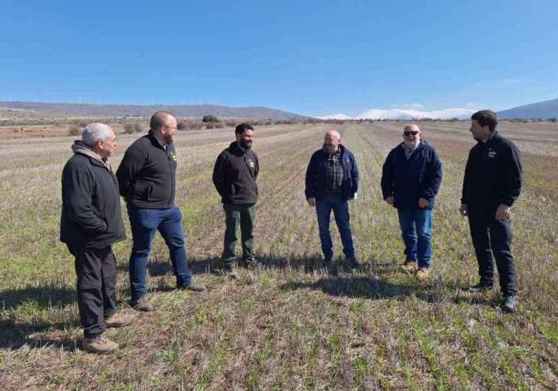 El plazo para solicitar estancias del Programa Cultiva 2026 se amplía hasta 20 de septiembre