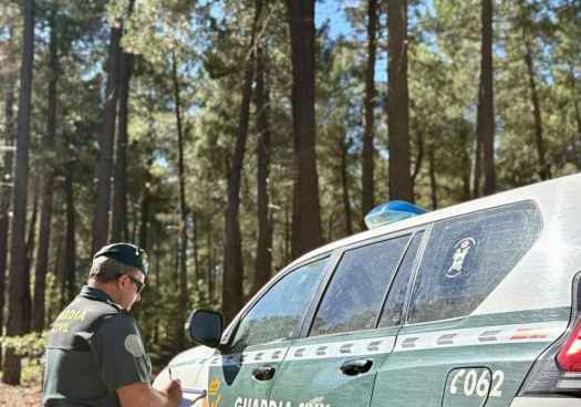 Dos detenidos por estafa en aprovechamiento forestal en San Leonardo de Yagüe