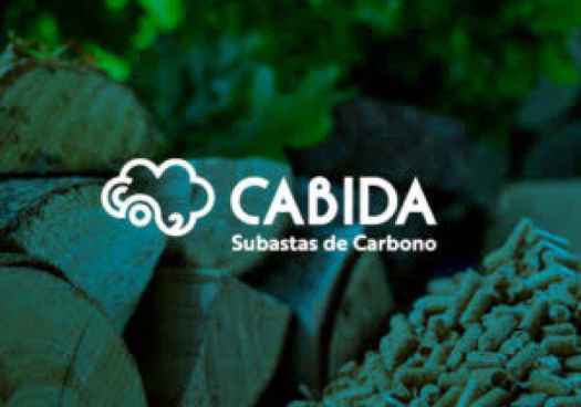 La plataforma de subastas de créditos de carbono forestal celebra su primer acto público