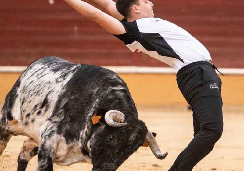 Cinco recortadores sorianos encabezan concurso de las fiestas de San Saturio