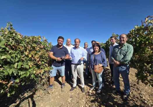 La Junta presenta estudio de costes de producción en la D.O.P. Ribera del Duero 