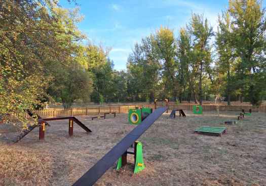 Almazán estrena nuevo servicio municipal con circuito canino “Agility” 