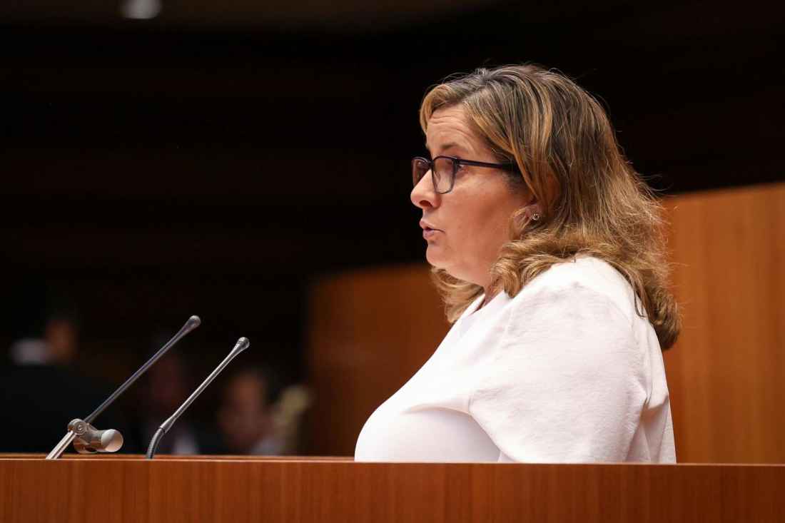 Soria ¡Ya! y PSOE reclaman mejorar corredor Ágreda-Almazán, que PP y Vox rechazan para "optimizar recursos"