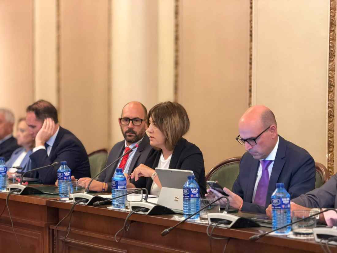 El pleno de Diputación aprueba reglamentos de Consejos Provinciales de Igualdad e Intergeneracional 