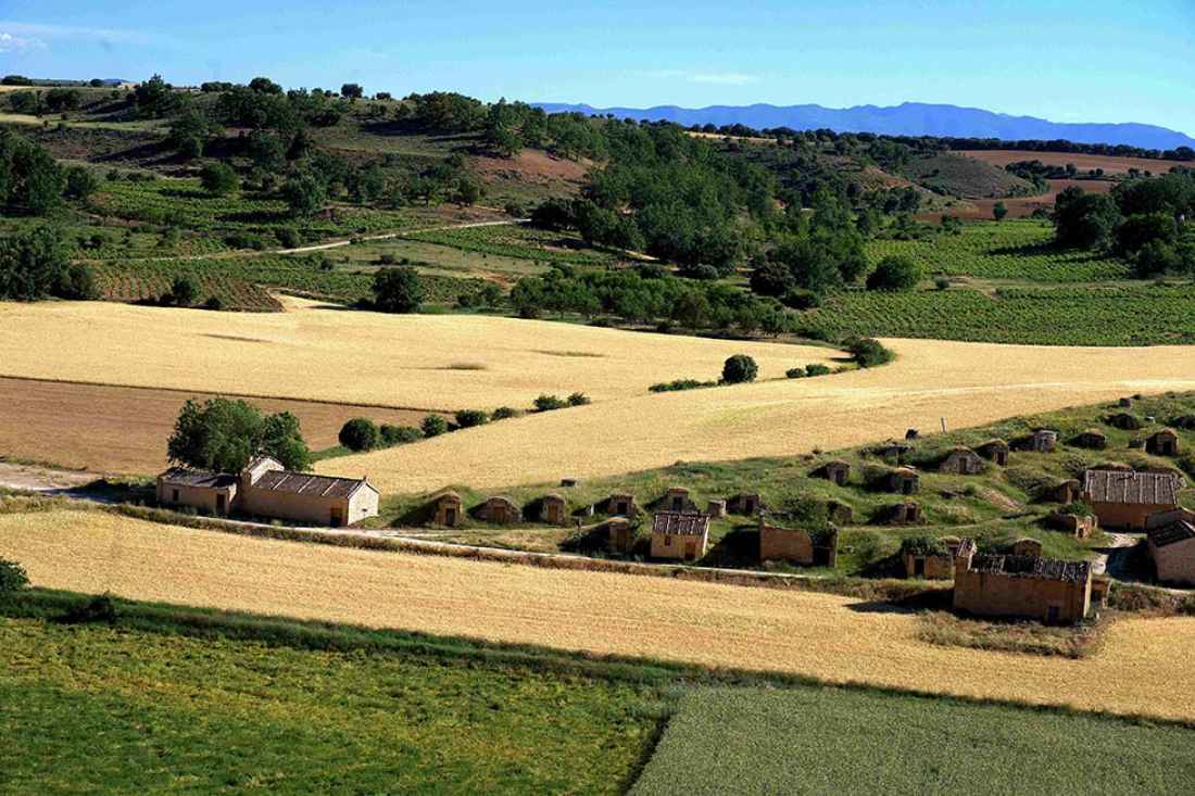 Dominio de Atauta se reafirma como una de principales referencias de Ribera del Duero 
