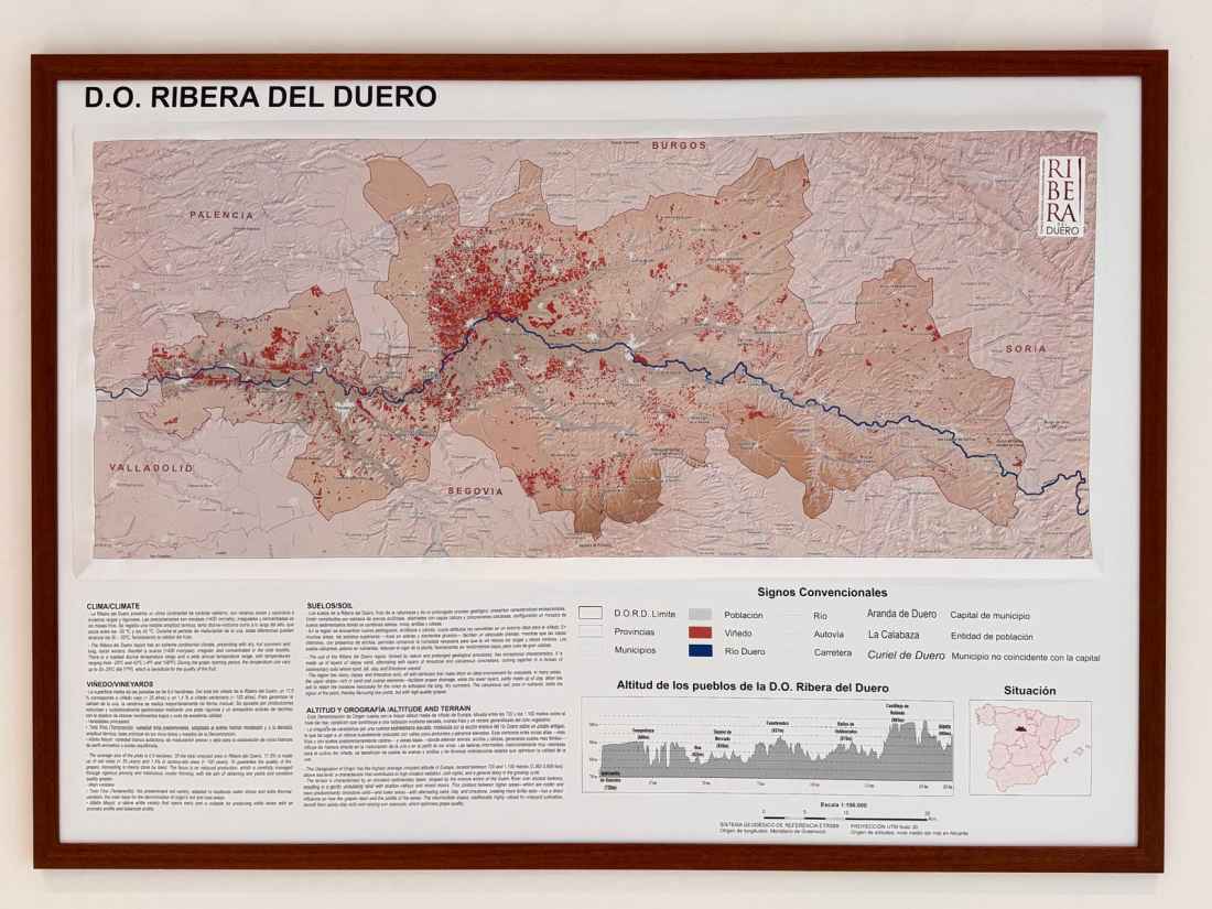 La D.O. Ribera del Duero se propone reconstruir su historia