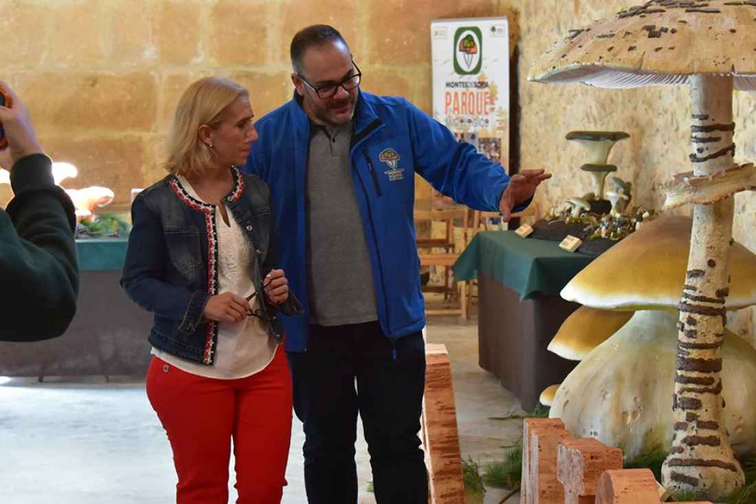 Soria invita a descubrir su riqueza micológica con exposición en antiguo trinquete