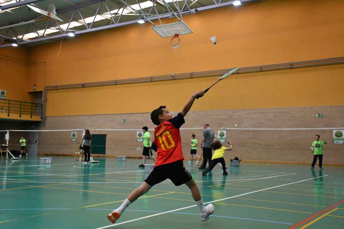 Competición territorial de bádminton este sábado en Soria