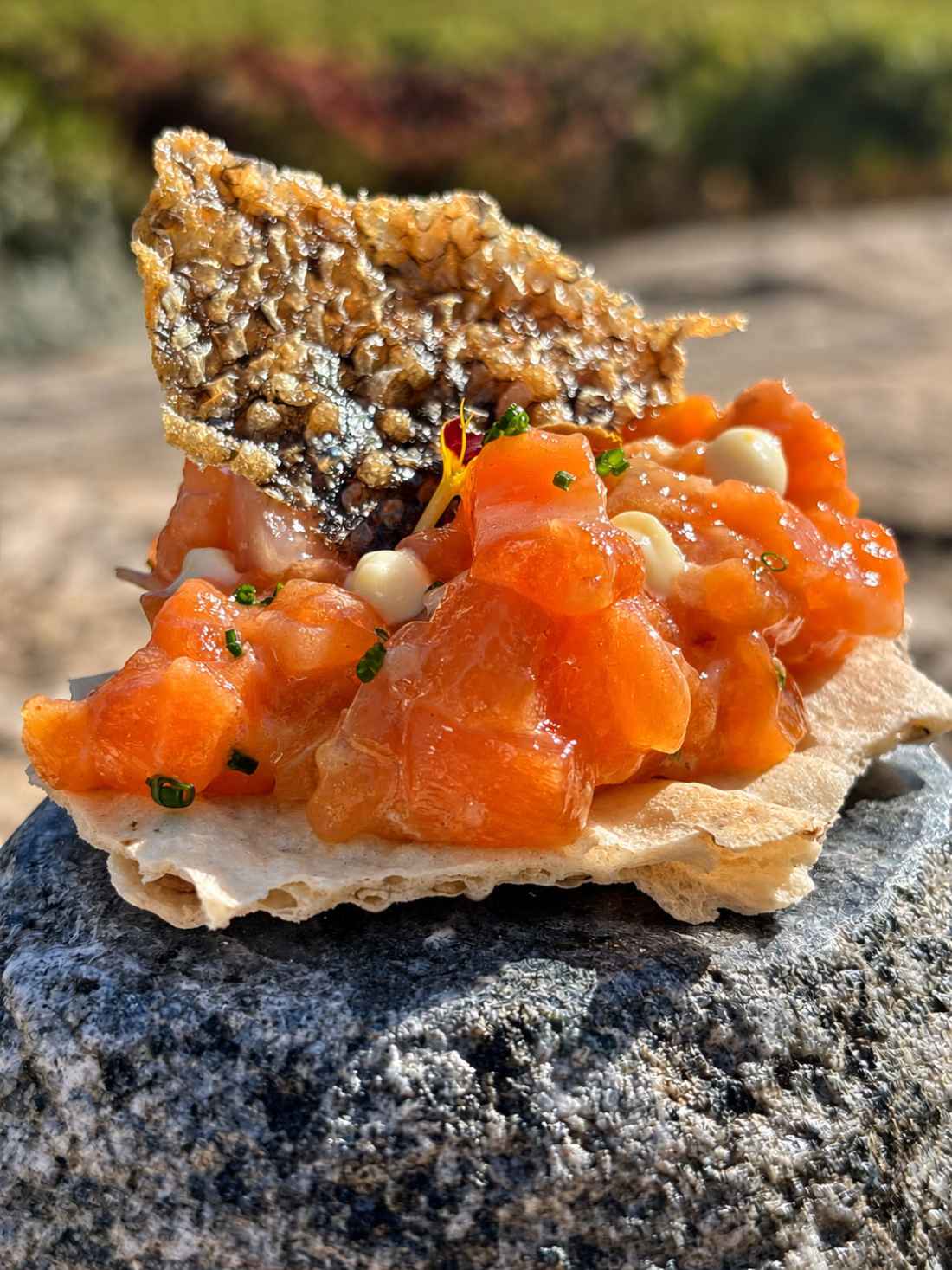Almazán ofrece su sabor medieval en concurso gastronómico en Valencia de Alcántara