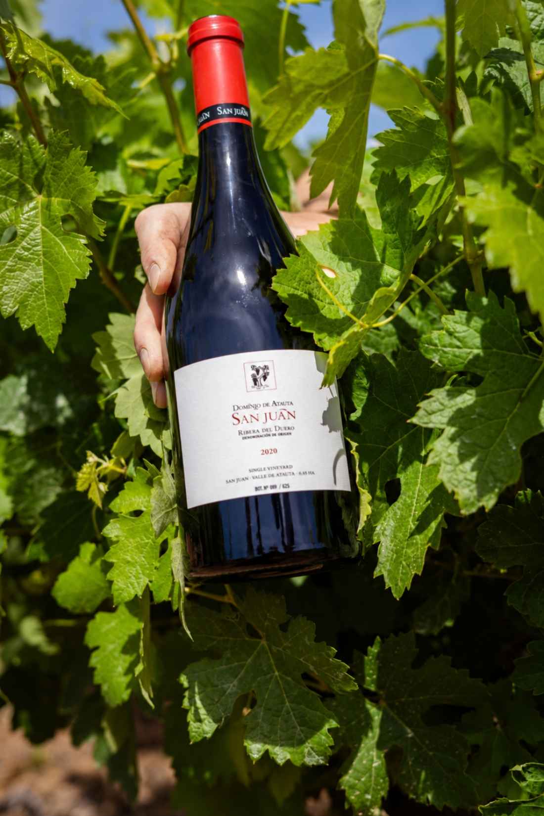 San Juan 2020, de bodega Dominio de Atauta, máxima puntuación en Guía Vinos Gourmets 