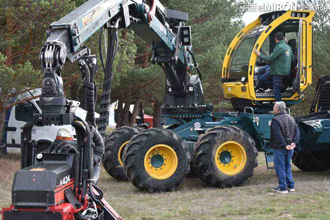 Cabrejas del Pinar divulga el valor de su patrimonio forestal con feria