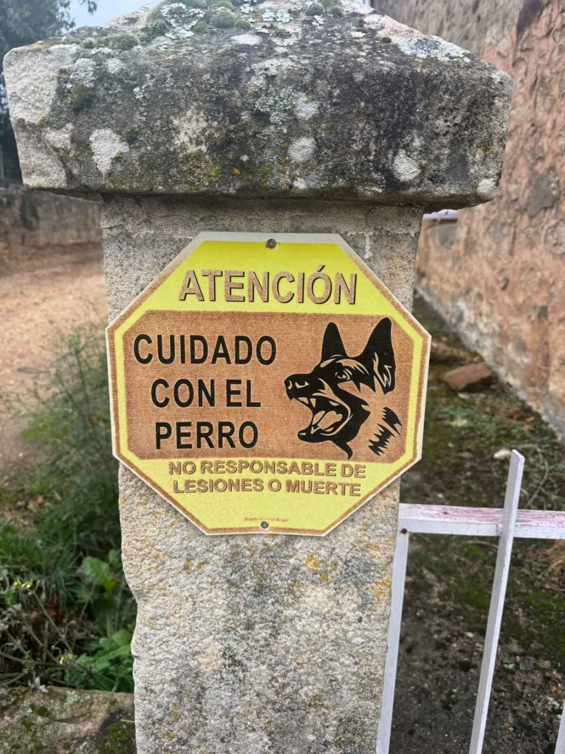 Detenido propietario de dos perros potencialmente peligrosos por maltrato animal en Soria