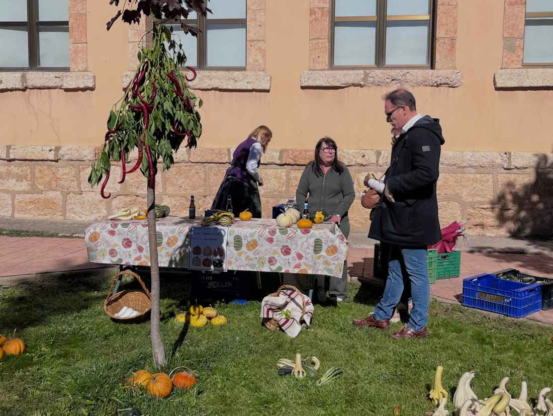 Una calabaza de 87 kilógramos gana concurso de San Esteban de Gormaz