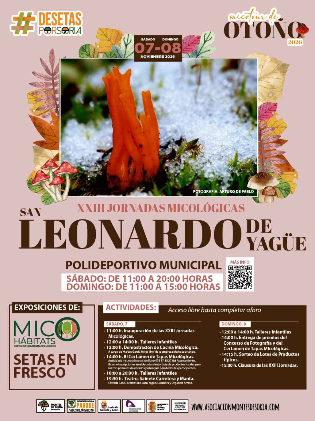 San Leonardo de Yagüe publica actividades para celebrar festividad de su patrón