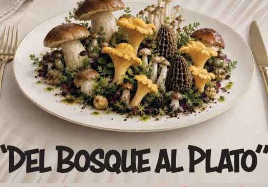 Covaleda se cita con sus XXII Jornadas Gastronómicas Micológicas