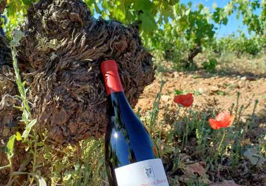 Dominio de Atauta se reafirma como una de principales referencias de Ribera del Duero 
