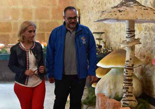 Soria invita a descubrir su riqueza micológica con exposición en antiguo trinquete