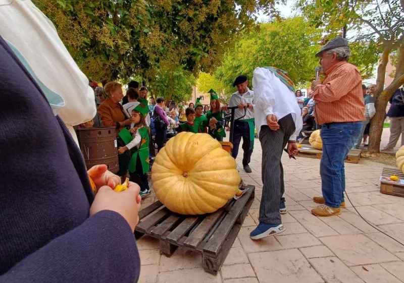 El concurso de calabazas llega a XIII edición en San Esteban de Gormaz