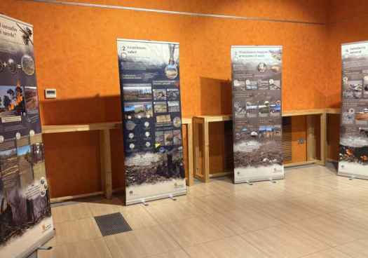 Exposición itinerante para enseñar recuperación de montes afectados por incendios forestales