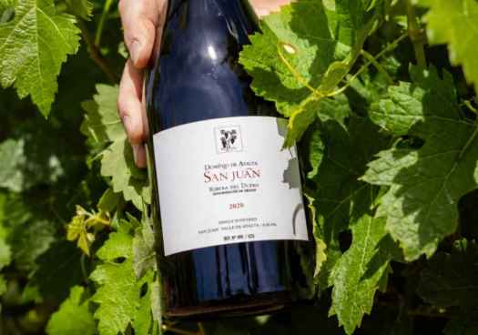 San Juan 2020, de bodega Dominio de Atauta, máxima puntuación en Guía Vinos Gourmets 