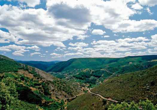 La Junta incorpora estudio de hongos y bacterias del suelo para mejorar restauraciones forestales     