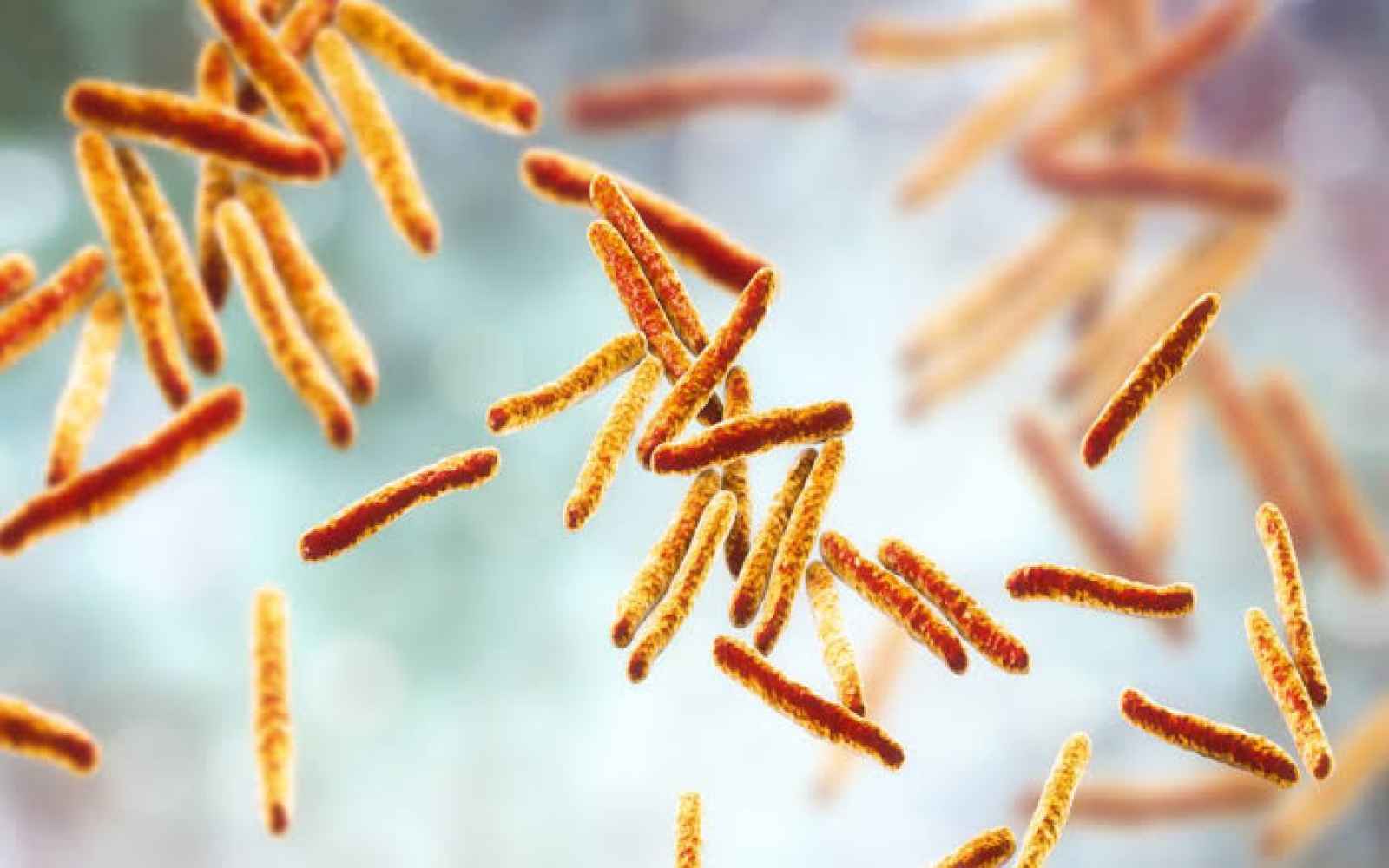 Salud Pública confirma fallecimiento por tuberculosis en Segovia
