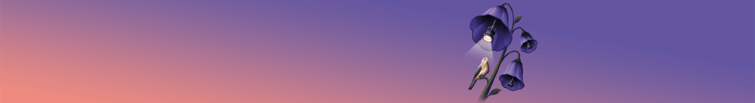 260811-0748